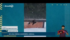 Canal namidia